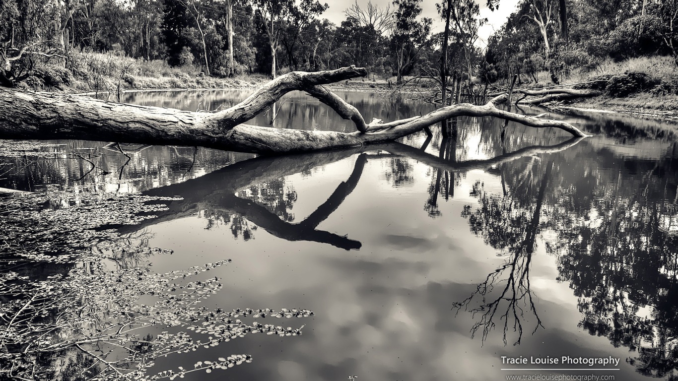 Queensland, Australie, de beaux paysages, fonds d'écran Windows 8 thème HD #11 - 1366x768