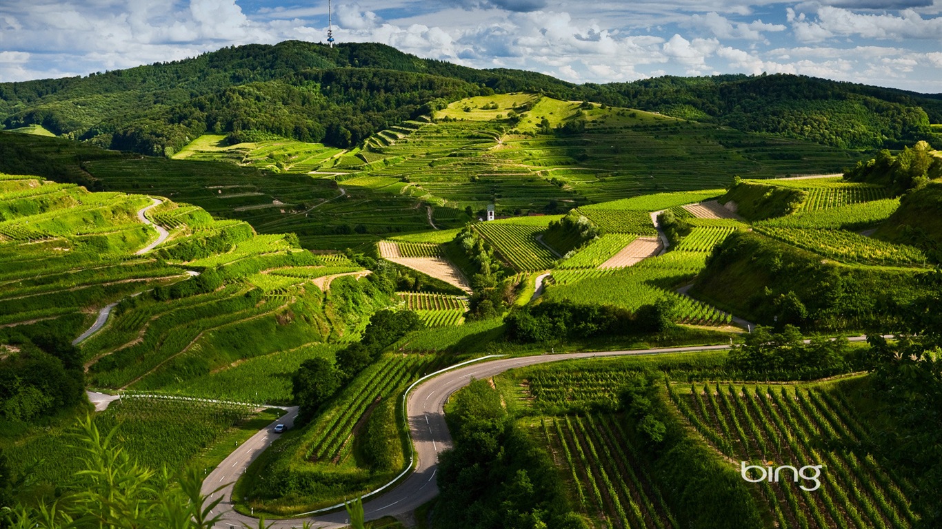 Sélection de fonds d'écran Bing en Janvier 2014 #3 - 1366x768