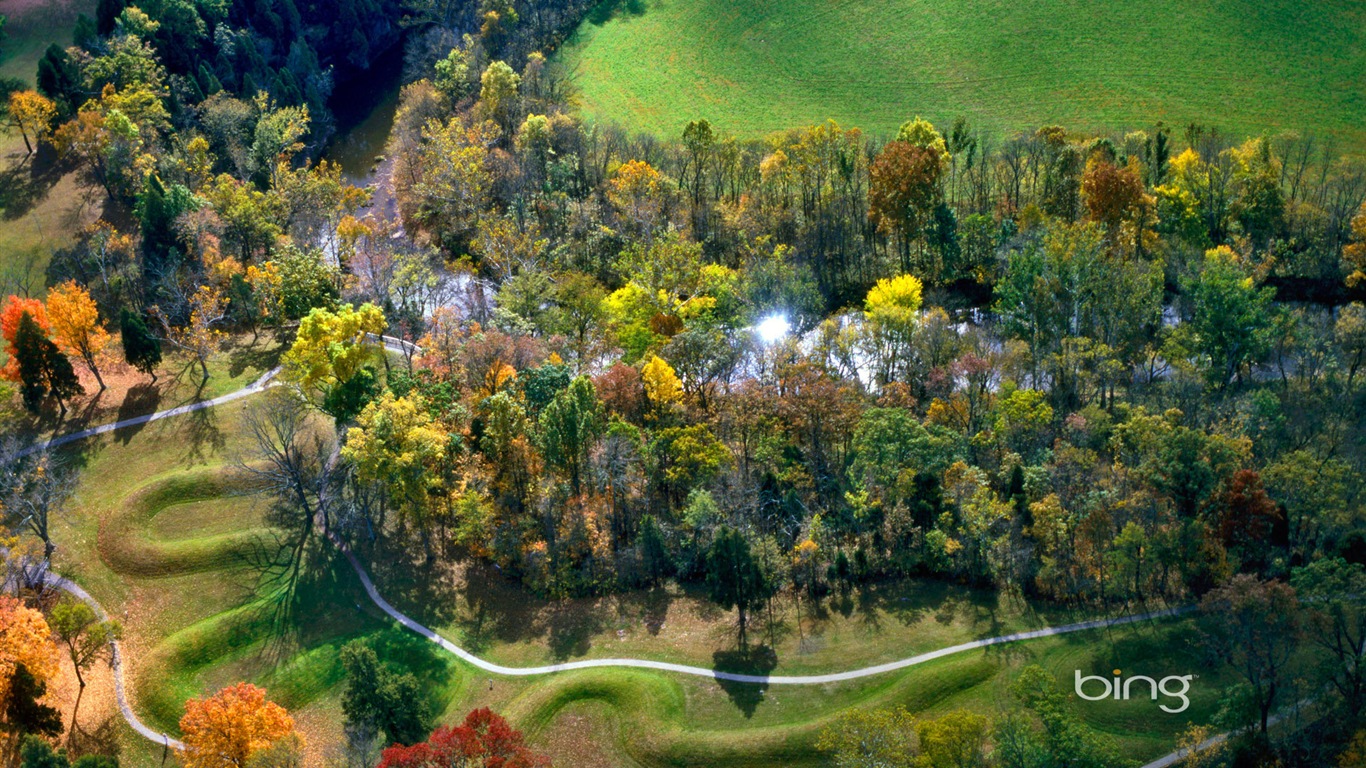 Bing výběr tapeta v lednu 2014 #11 - 1366x768