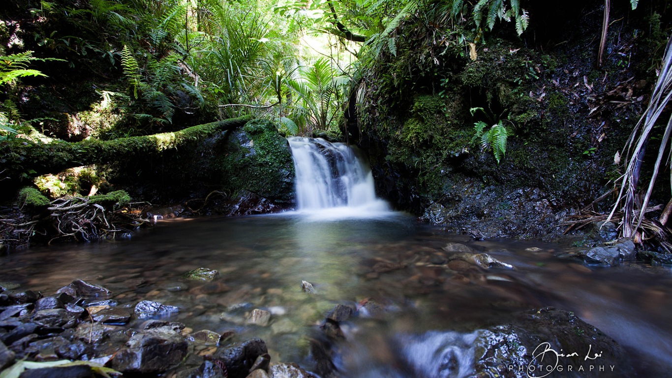 Nouvelle-Zélande Île du Nord de beaux paysages, Windows 8 fonds d'écran thématiques #8 - 1366x768