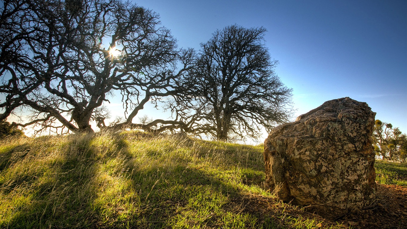 Schöne Berge, See, Wald, Windows 8 Theme HD Wallpaper #14 - 1366x768