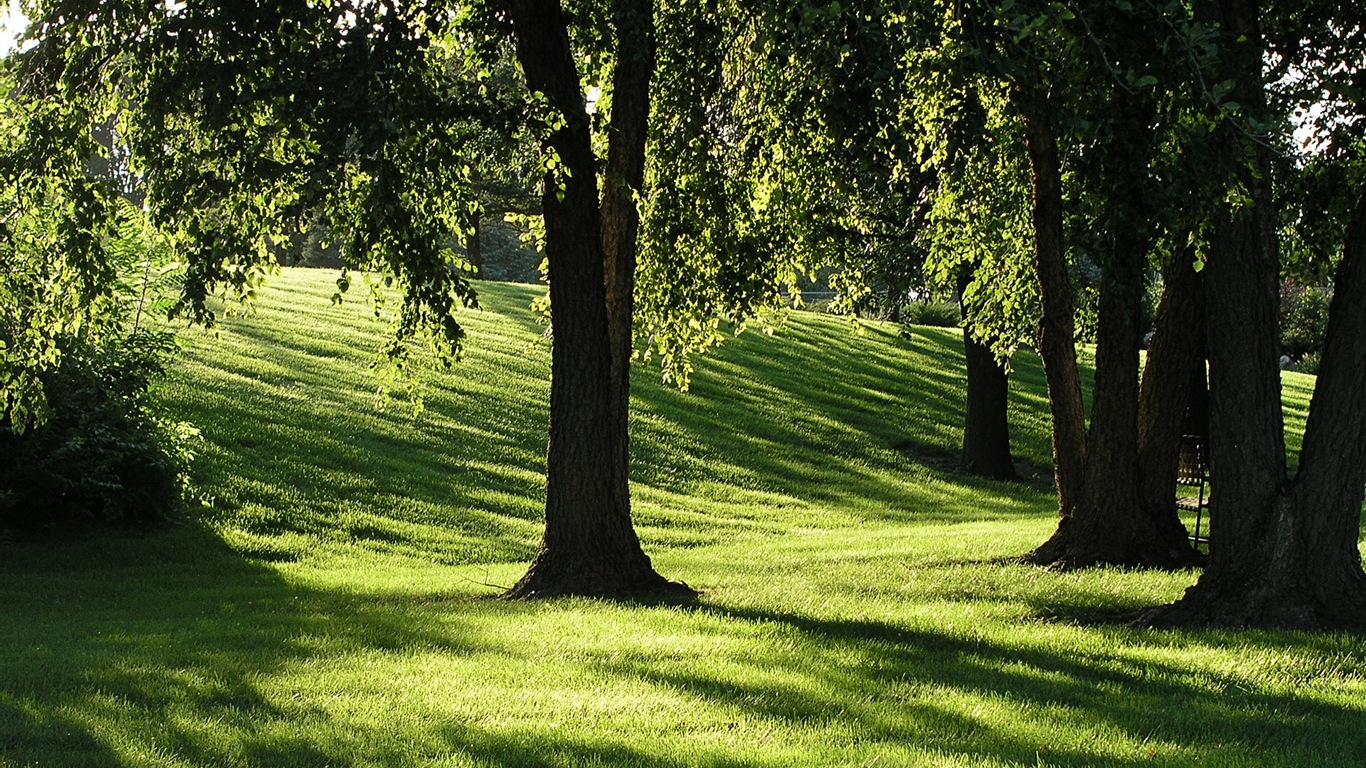 Krásné hory, jezera, lesy, Windows 8 téma HD Tapety na plochu #15 - 1366x768