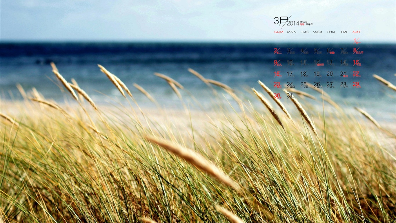2014年3月 月曆壁紙(一) #5 - 1366x768