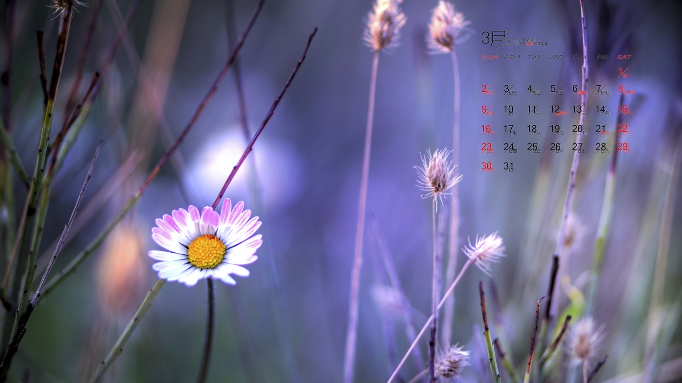 2014年3月 月曆壁紙(一) #7 - 1366x768