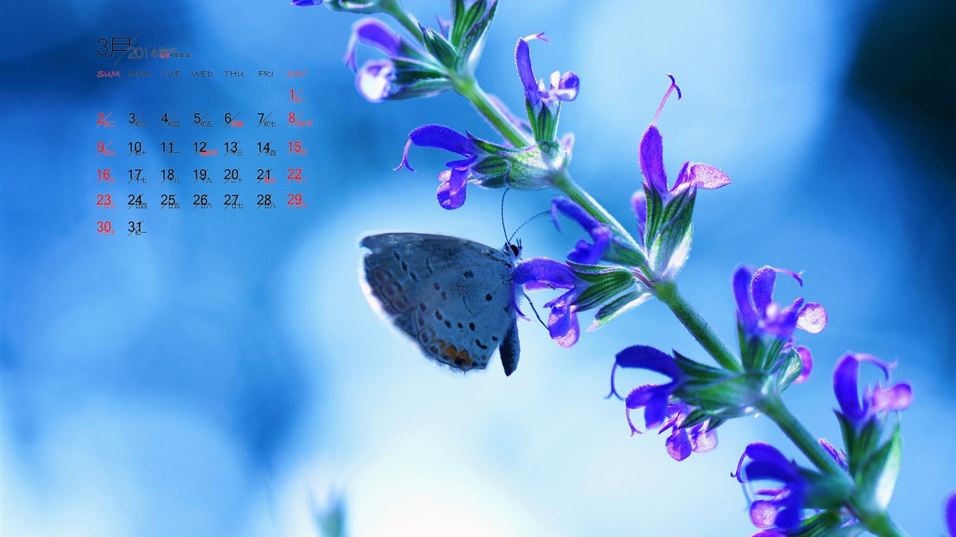 Mars 2014 calendriers fond d'écran (1) #9 - 1366x768
