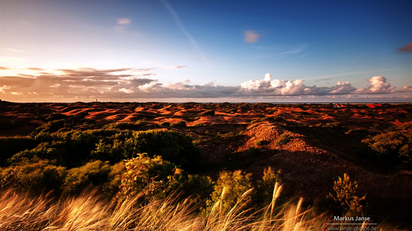 Spiekeroog 施皮克奧格島風景，Windows 8 主題壁紙 #3 - 1366x768