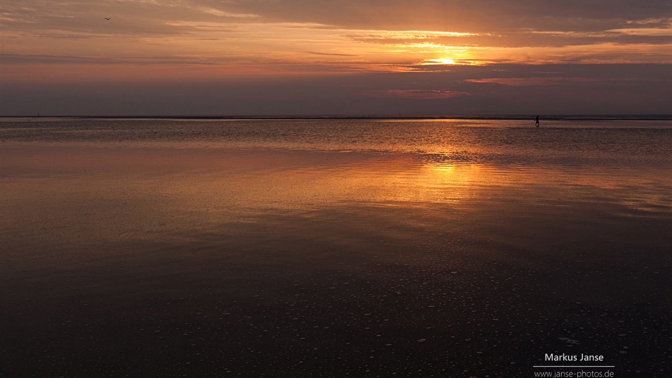 Spiekeroog 施皮克奧格島風景，Windows 8 主題壁紙 #5 - 1366x768