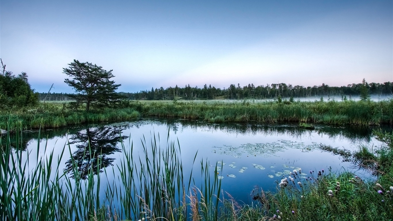 Réflexion dans le fond d'un paysage naturel de l'eau #11 - 1366x768