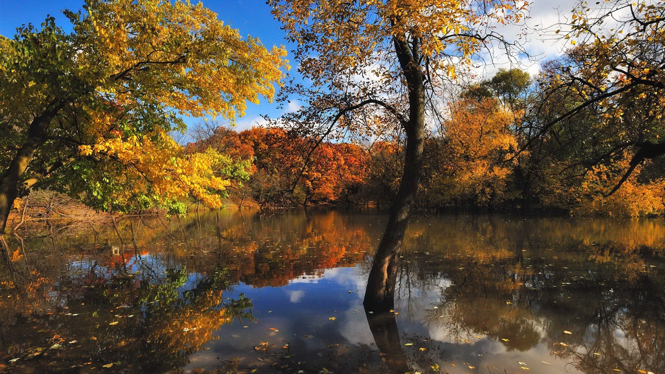 Réflexion dans le fond d'un paysage naturel de l'eau #14 - 1366x768