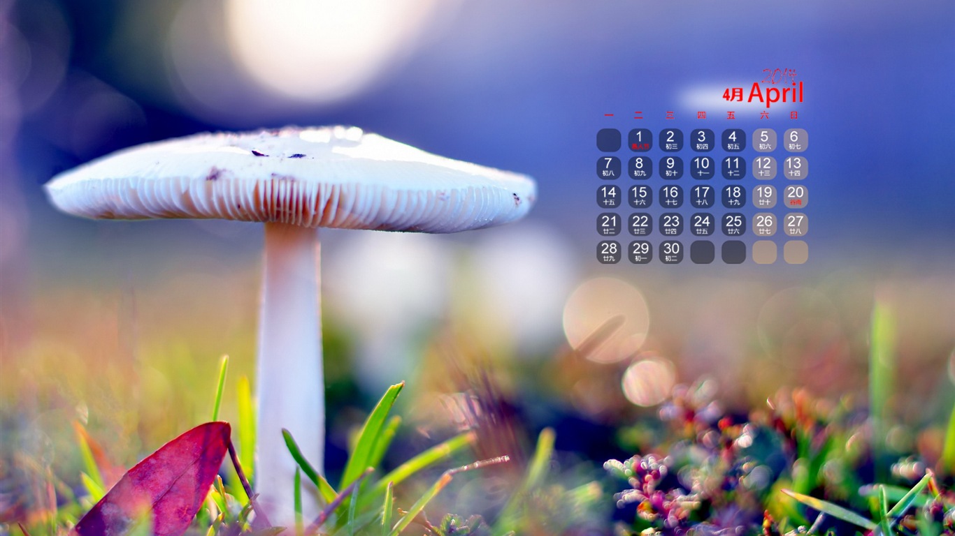 2014年4月 月曆壁紙(一) #14 - 1366x768