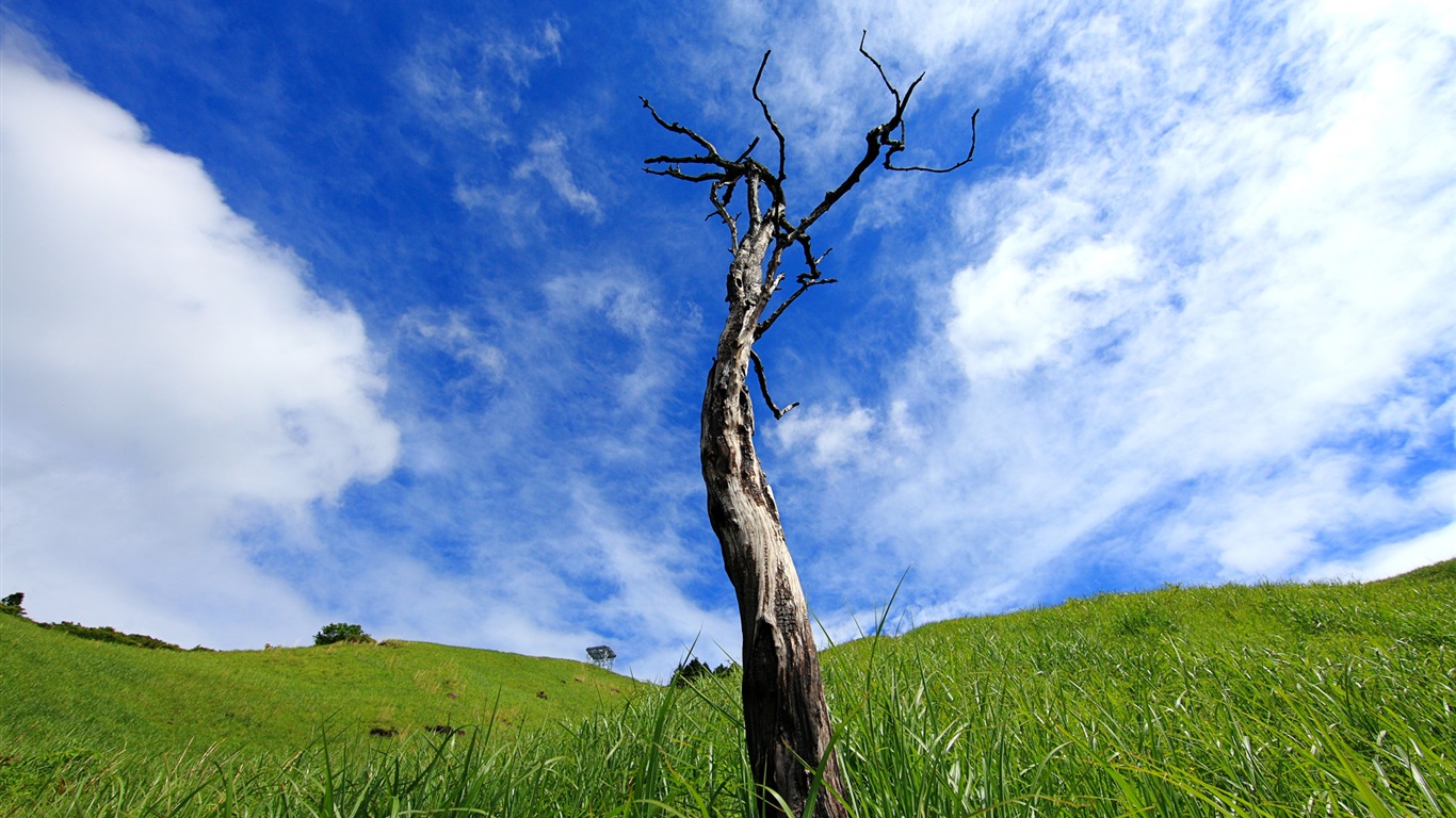 Japanese perspective, Windows 8 theme wallpapers #7 - 1366x768