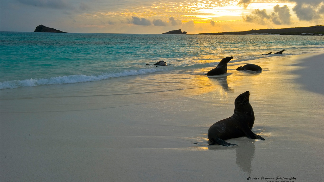 The beauty of life, Windows 8 theme wallpapers #4 - 1366x768