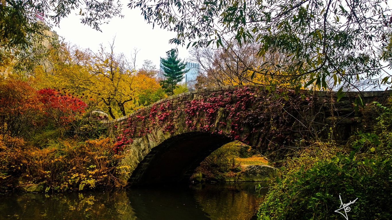 Paysages urbains de New York, Microsoft Windows 8 fonds d'écran HD #17 - 1366x768