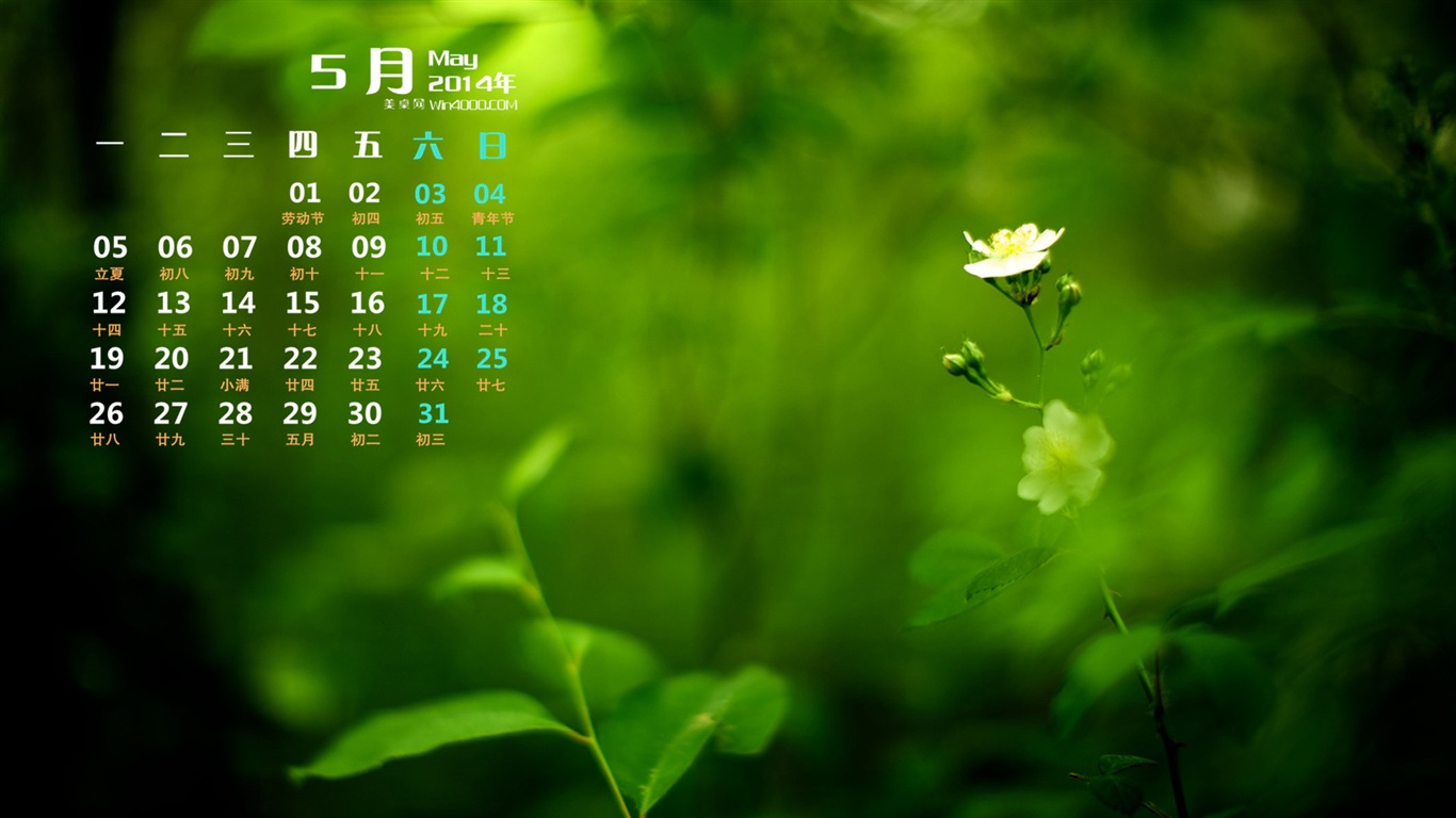 2014年5月 月曆壁紙(一) #4 - 1366x768