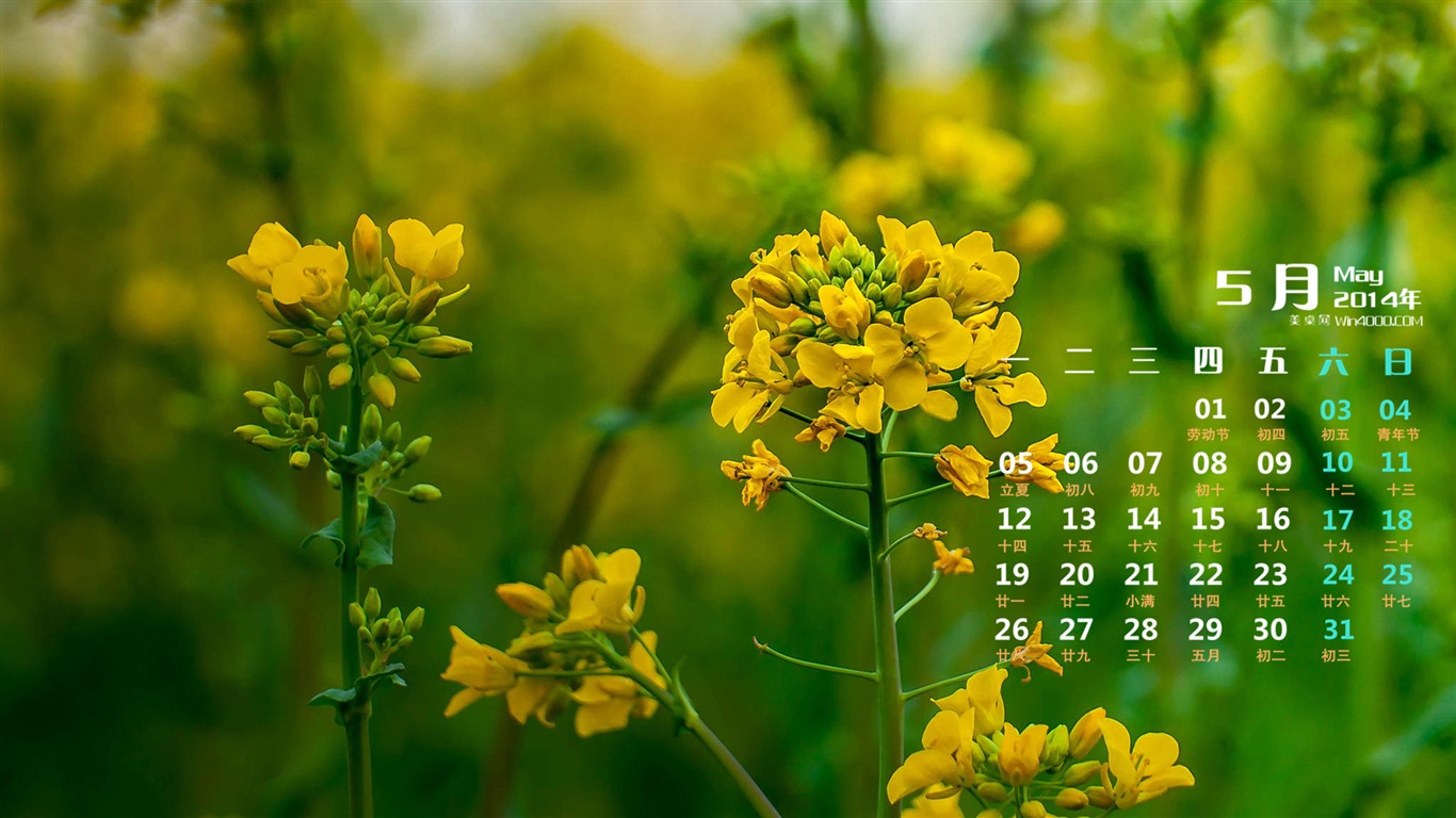 May 2014 calendar wallpaper (1) #5 - 1366x768