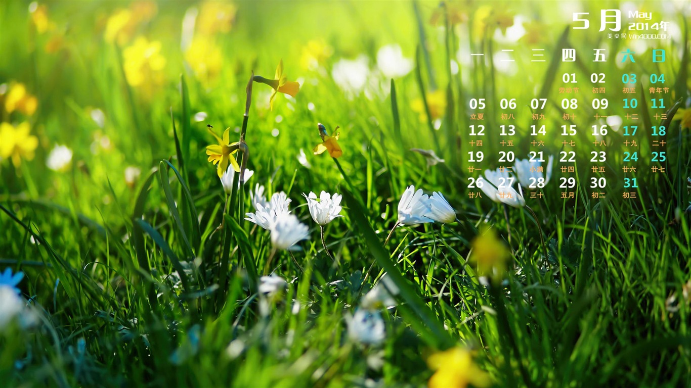 2014年5月 月曆壁紙(一) #8 - 1366x768