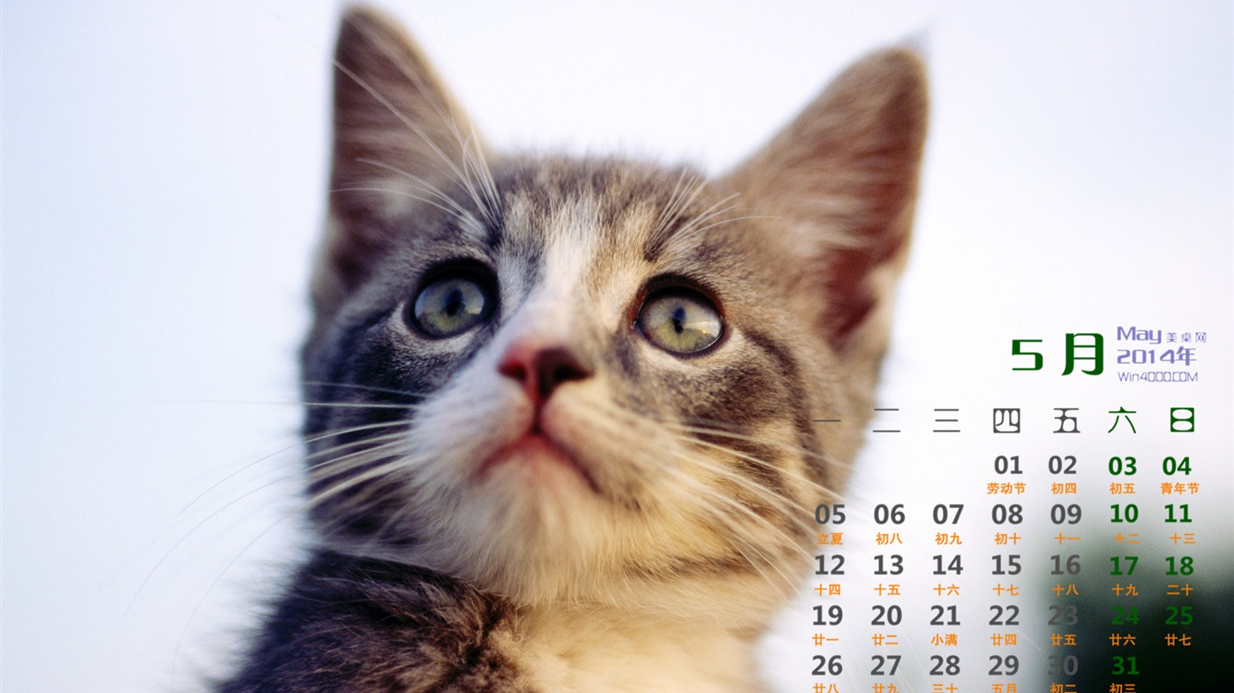 05. 2014 Kalendář tapety (1) #13 - 1366x768