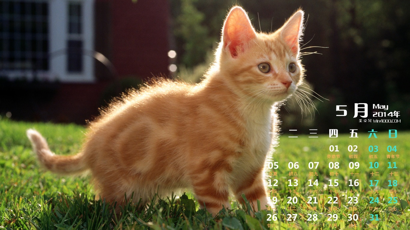 2014年5月 月曆壁紙(一) #14 - 1366x768
