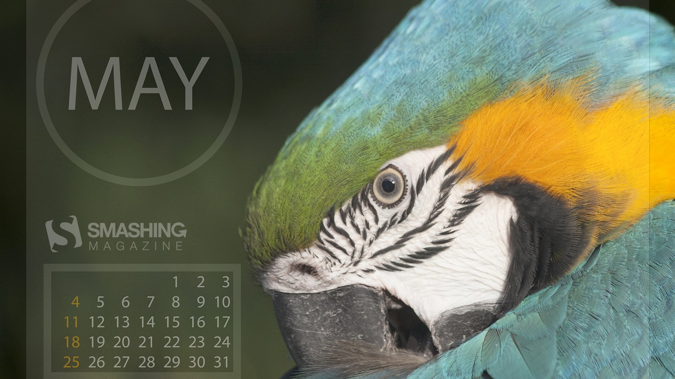 May 2014 calendar wallpaper (2) #16 - 1366x768