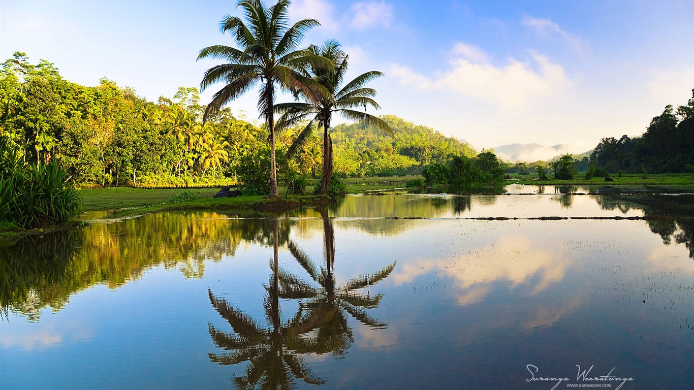 Sri Lanka style de paysage, Windows 8 fonds d'écran thématiques #11 - 1366x768