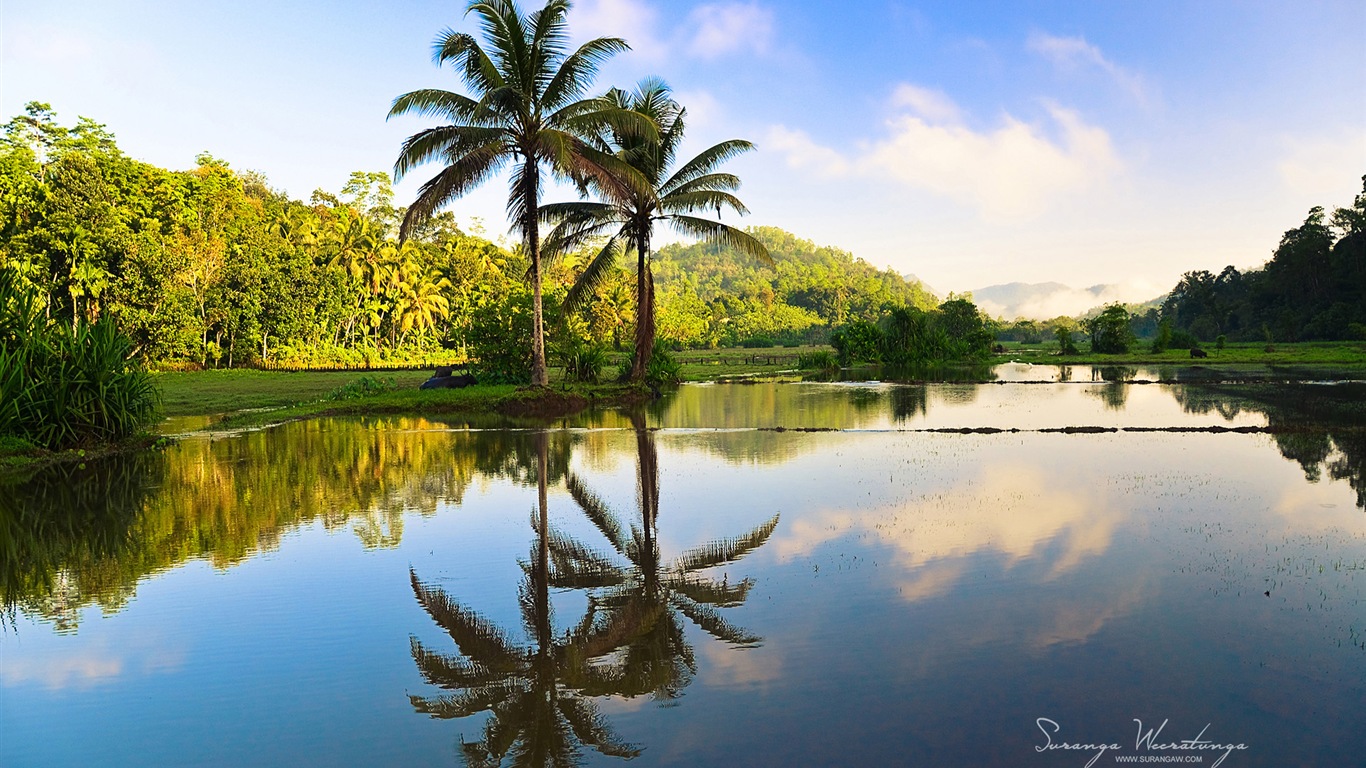 Estilo de paisaje Sri Lanka, Windows 8 tema fondos de pantalla #11 - 1366x768