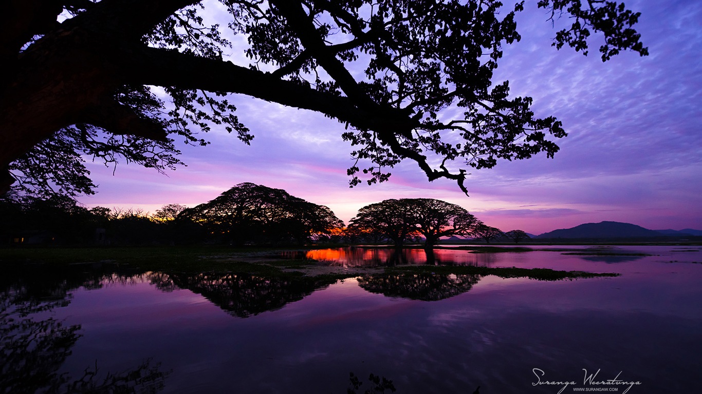 Sri Lanka style de paysage, Windows 8 fonds d'écran thématiques #12 - 1366x768