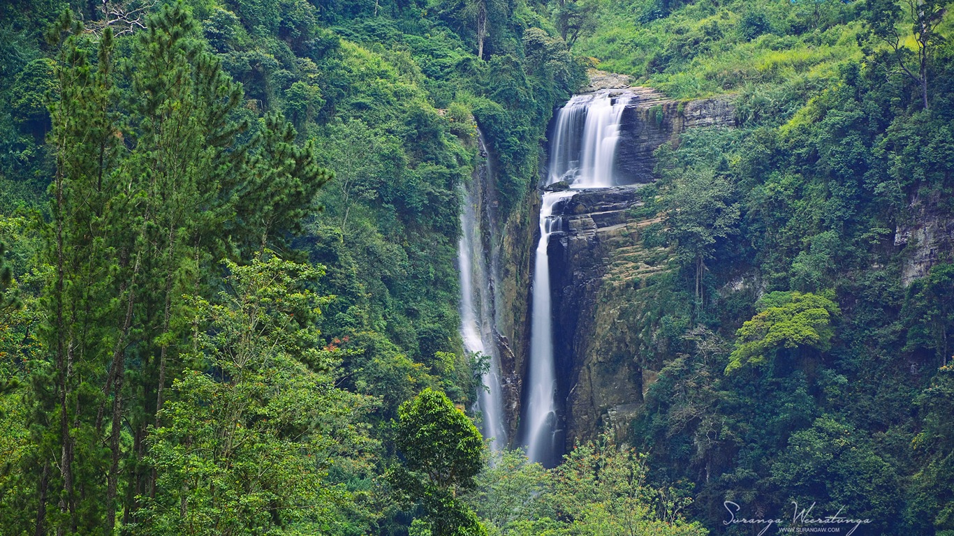 Estilo de paisaje Sri Lanka, Windows 8 tema fondos de pantalla #13 - 1366x768