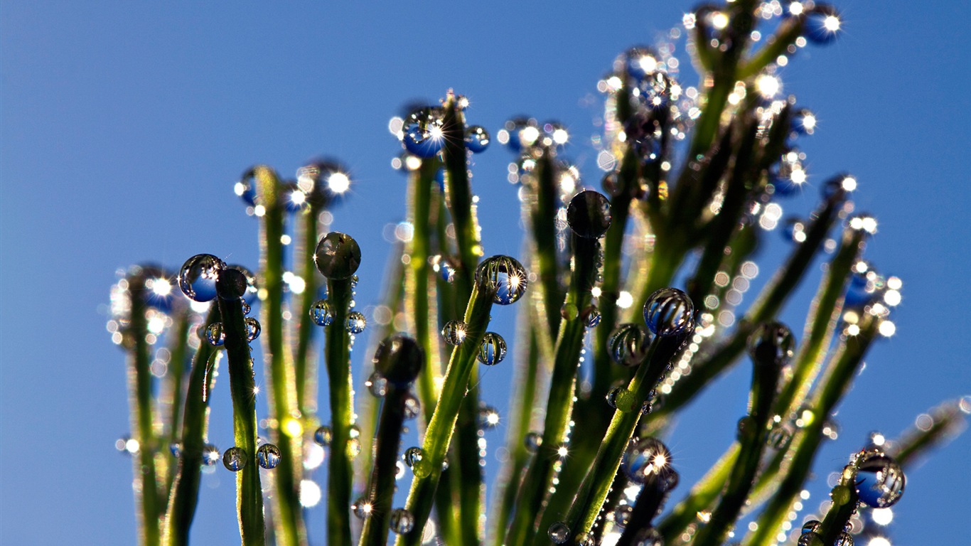 L'eau, source de vie, fonds d'écran Windows 8 thème HD #5 - 1366x768