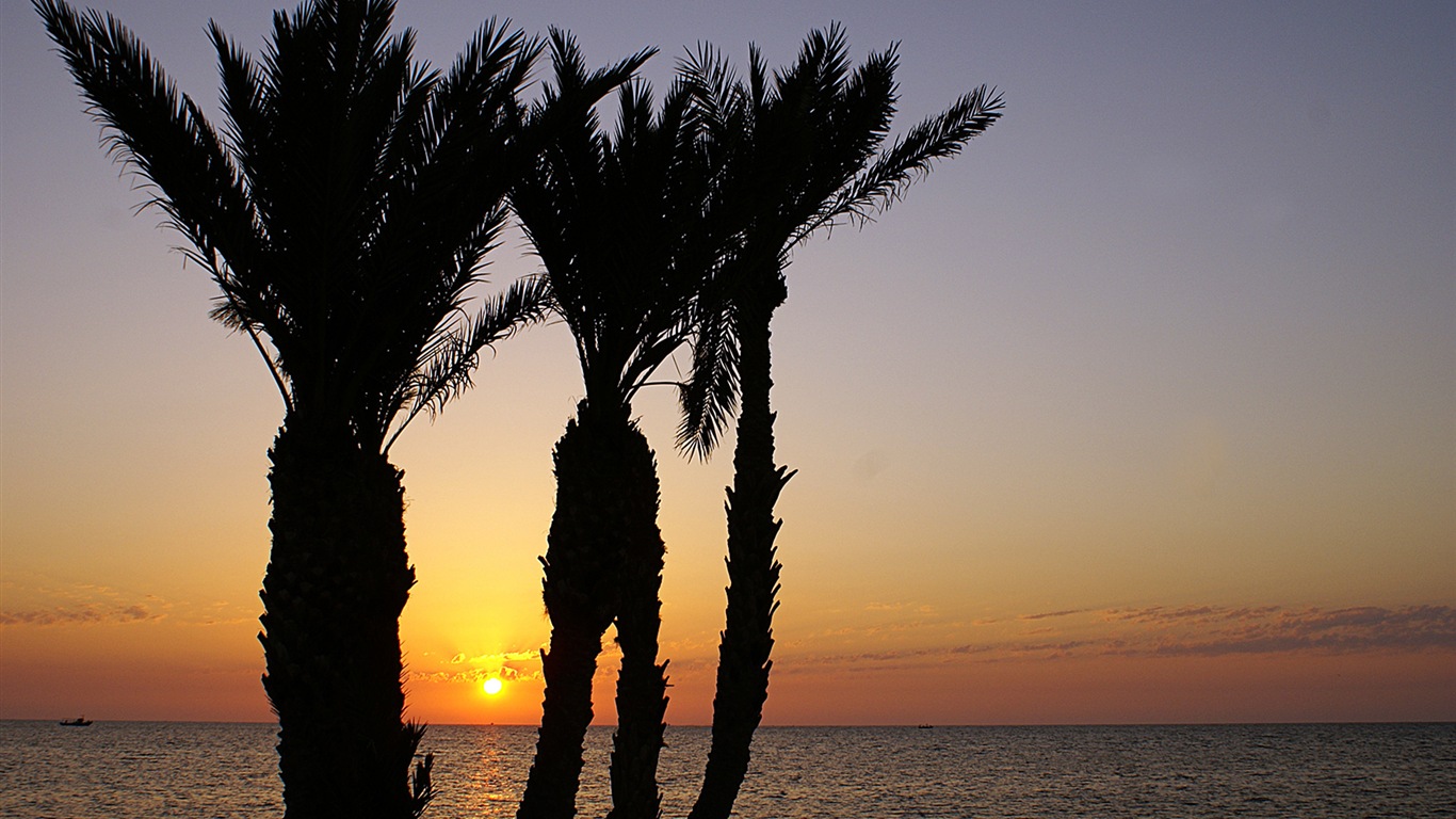 Water, the source of life, Windows 8 theme HD wallpapers #11 - 1366x768