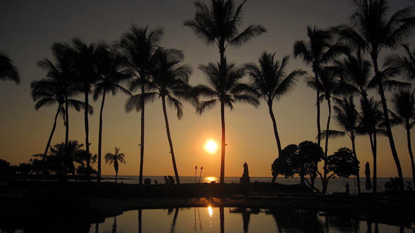 Water, the source of life, Windows 8 theme HD wallpapers #18 - 1366x768