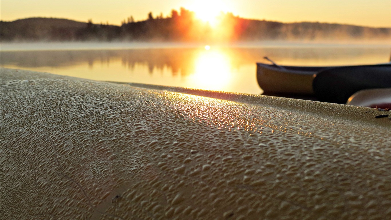 Water, the source of life, Windows 8 theme HD wallpapers #19 - 1366x768
