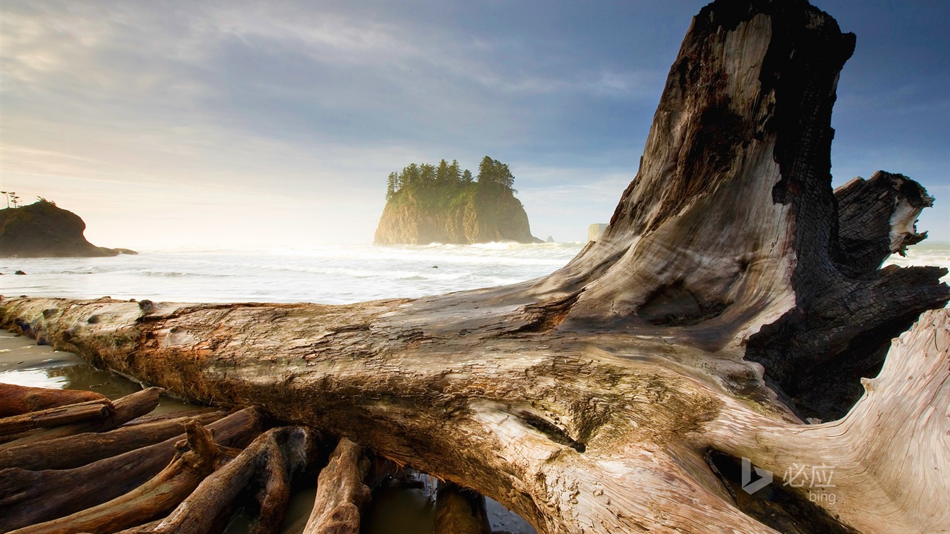 April 2014 Bing HD wallpapers #38 - 1366x768