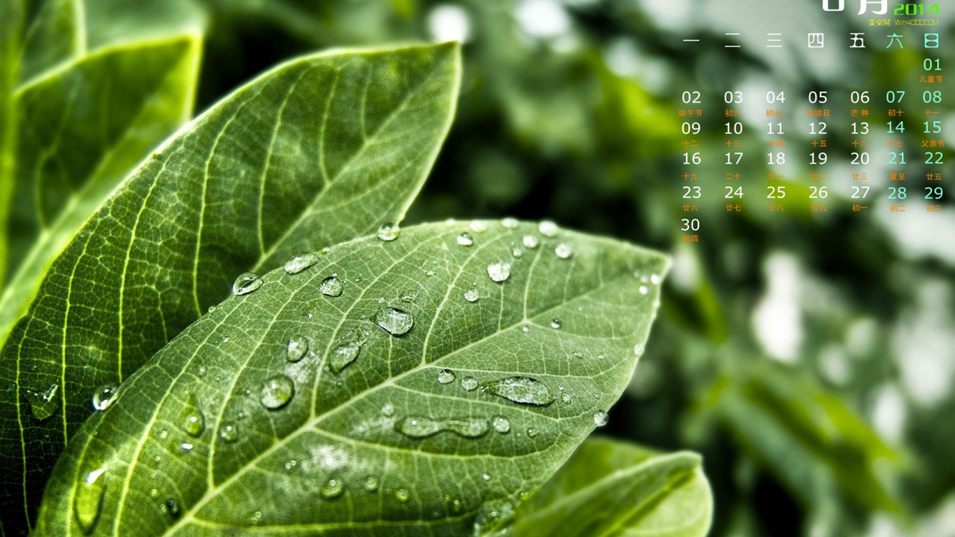 2014年6月 月曆壁紙(一) #4 - 1366x768