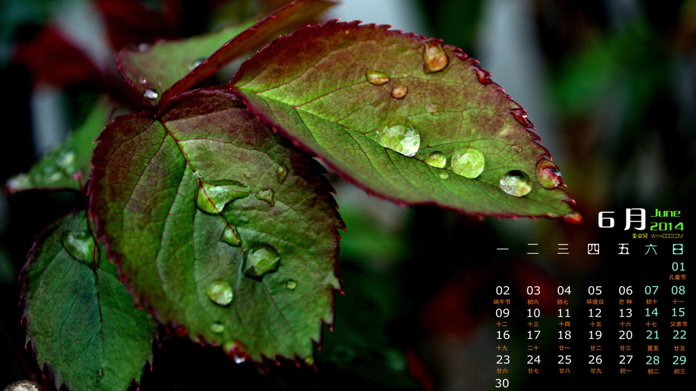 June 2014 calendar wallpaper (1) #5 - 1366x768