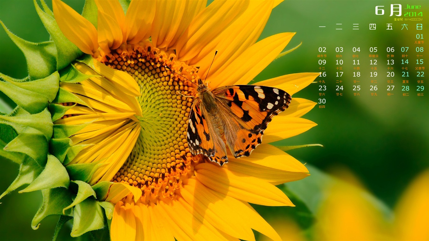 2014年6月 月曆壁紙(一) #6 - 1366x768