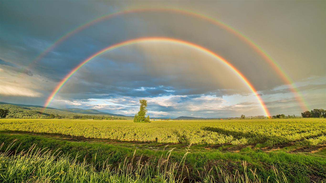 Schöner Regenbogen Landschaft HD Wallpaper #1 - 1366x768