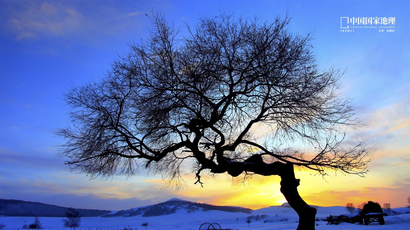 Čínské National Geographic HD Tapety #17 - 1366x768