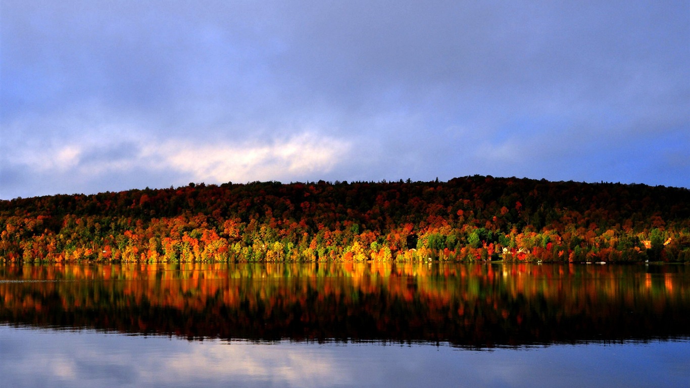 Voda a stromy v podzimních HD tapety na plochu #3 - 1366x768