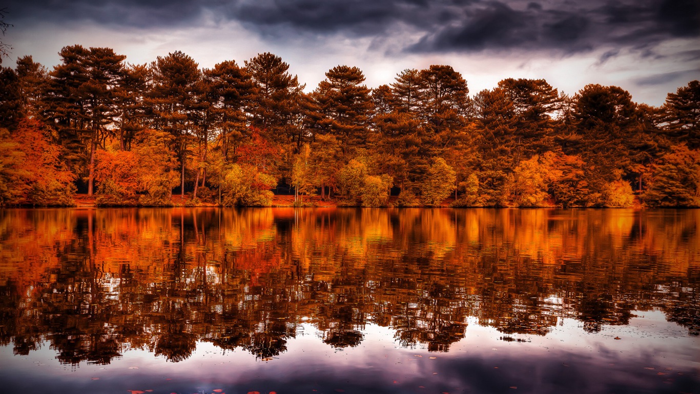 Voda a stromy v podzimních HD tapety na plochu #13 - 1366x768