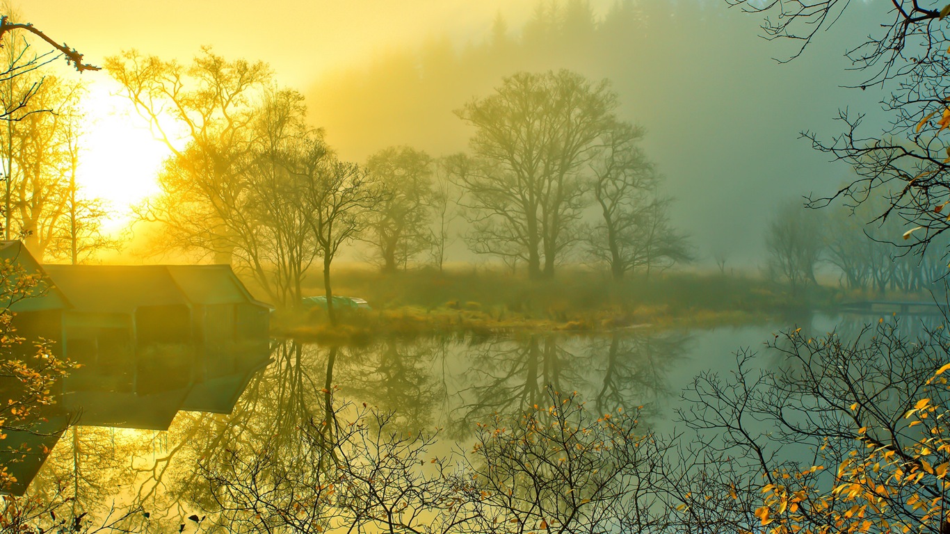 Foggy podzimní listí a stromy HD Tapety na plochu #3 - 1366x768