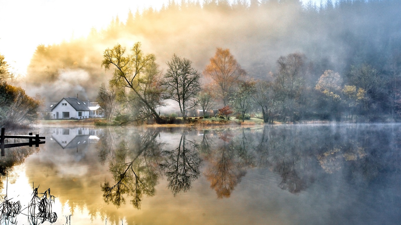 霧的秋天，紅葉樹木，高清壁紙 #5 - 1366x768