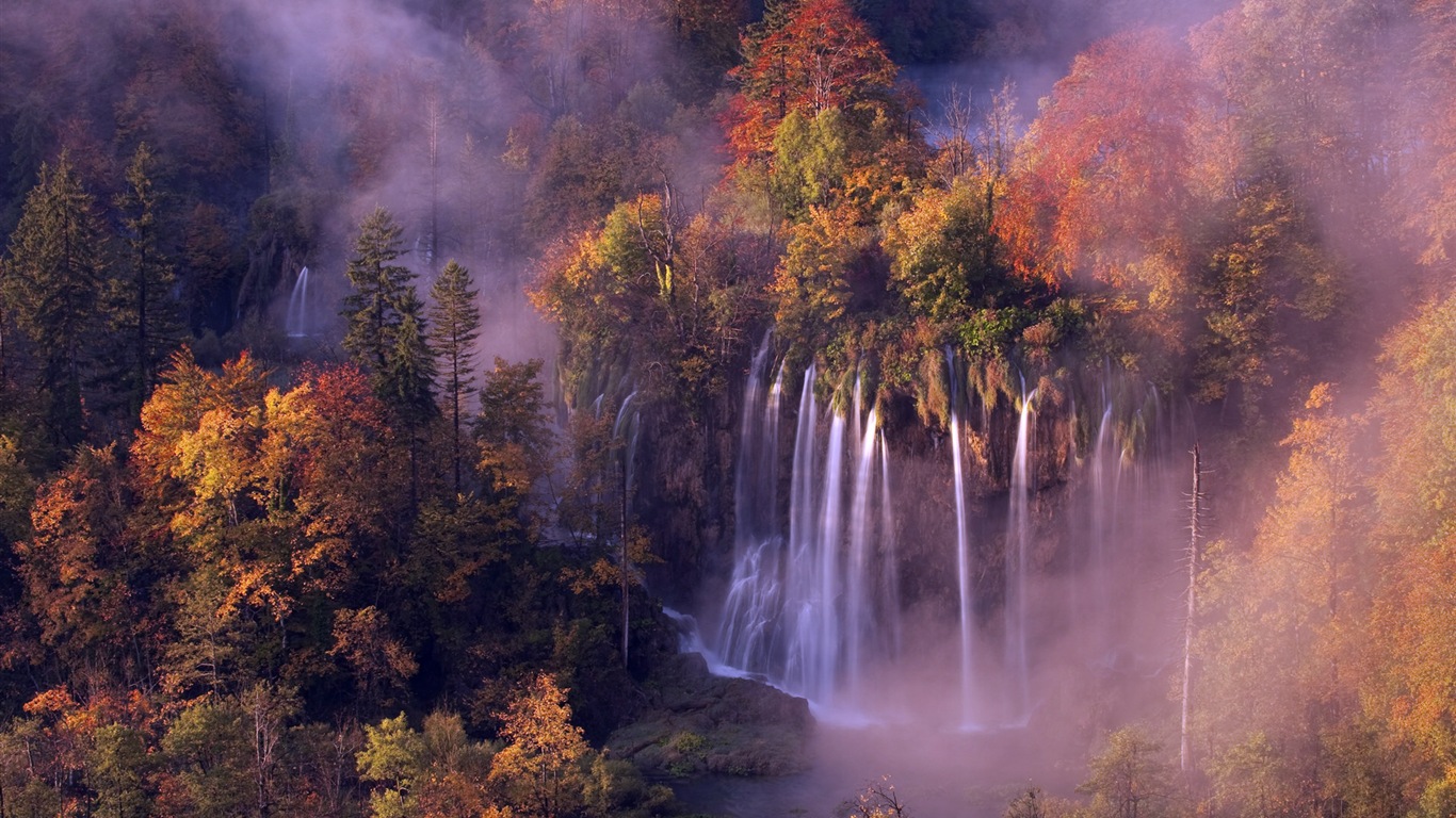 Foggy podzimní listí a stromy HD Tapety na plochu #11 - 1366x768