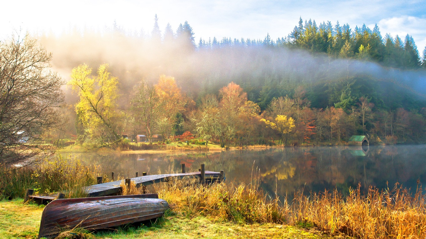 Foggy podzimní listí a stromy HD Tapety na plochu #14 - 1366x768