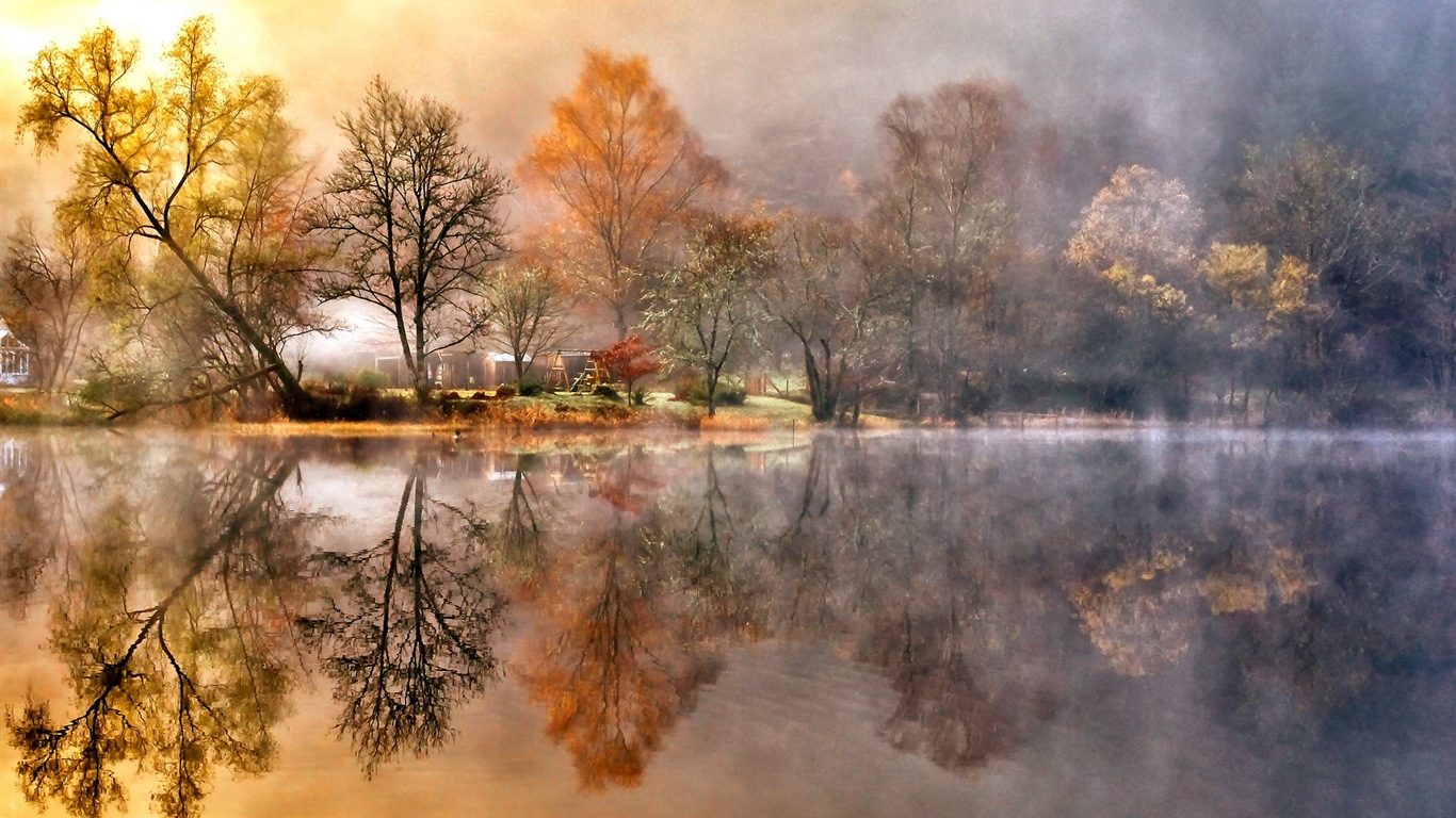 Foggy podzimní listí a stromy HD Tapety na plochu #15 - 1366x768