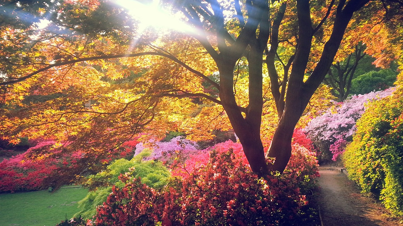 寧靜的夏天，Windows 8 高清主題壁紙 #6 - 1366x768