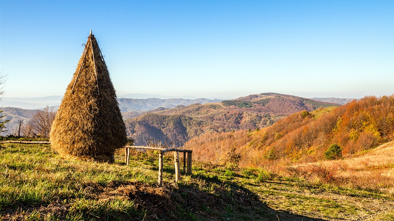 Été calme, fonds d'écran Windows 8 thème HD #7 - 1366x768