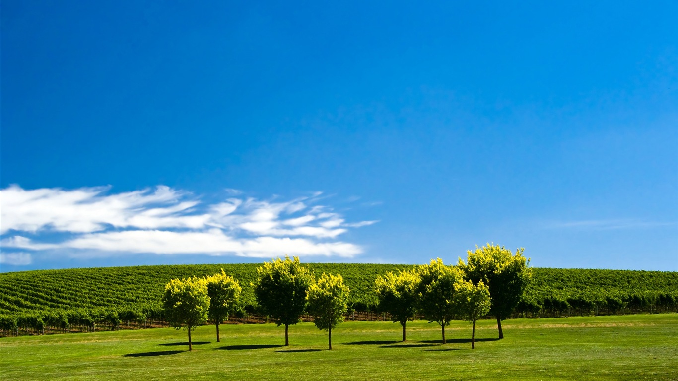 Verano tranquilo, fondos de pantalla de Windows 8 tema de HD #12 - 1366x768