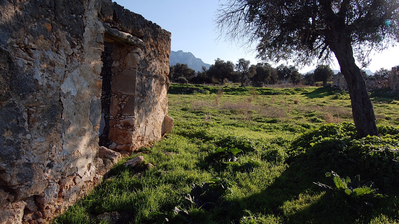 Été calme, fonds d'écran Windows 8 thème HD #14 - 1366x768