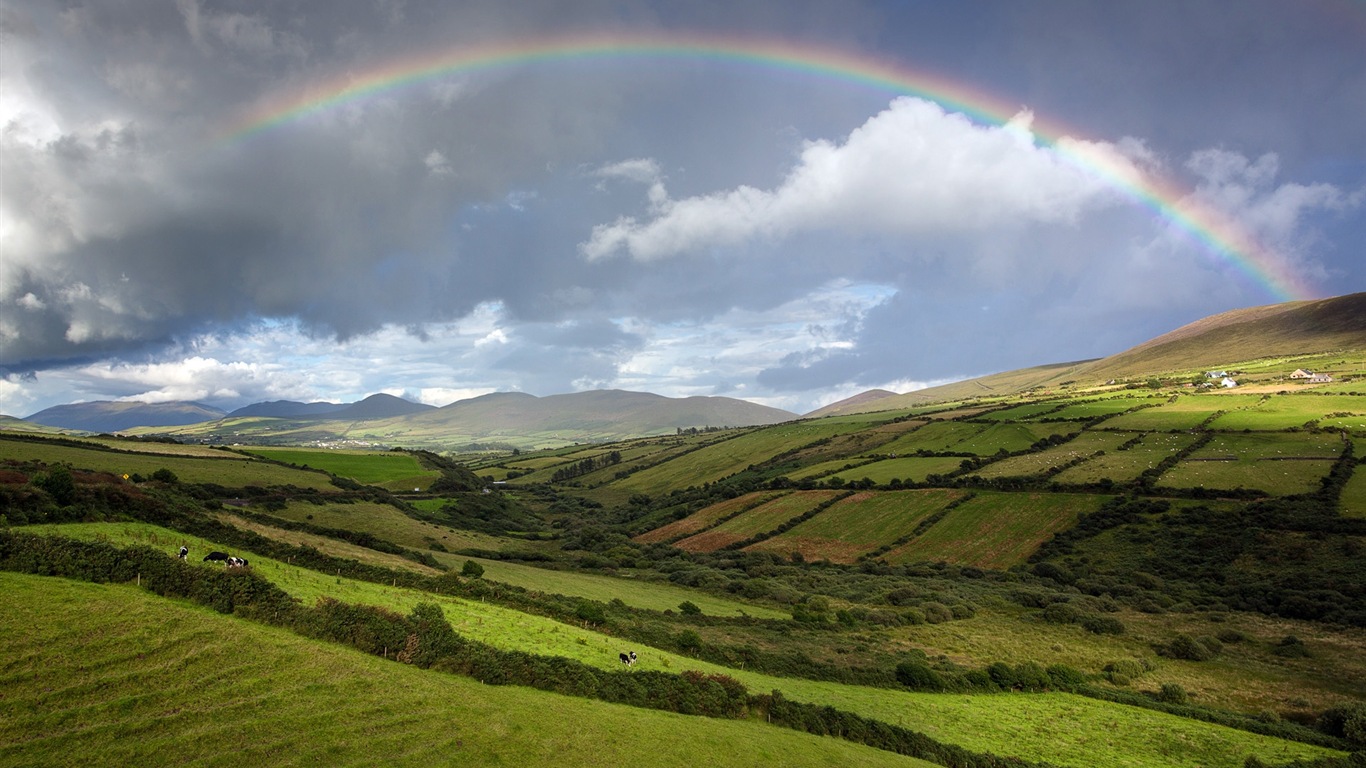 Été calme, fonds d'écran Windows 8 thème HD #17 - 1366x768