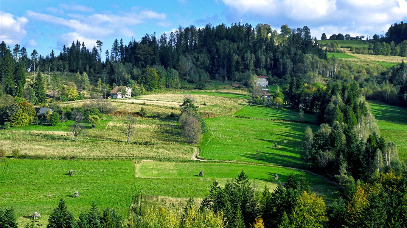 Été calme, fonds d'écran Windows 8 thème HD #18 - 1366x768